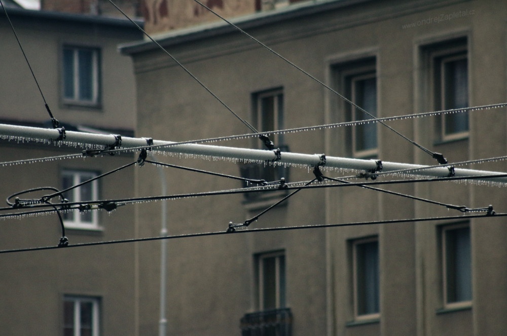 Hledá se ledoborec (Na fotografii:  (Fotografie města) zima, praha, elektřina, tramvaj)