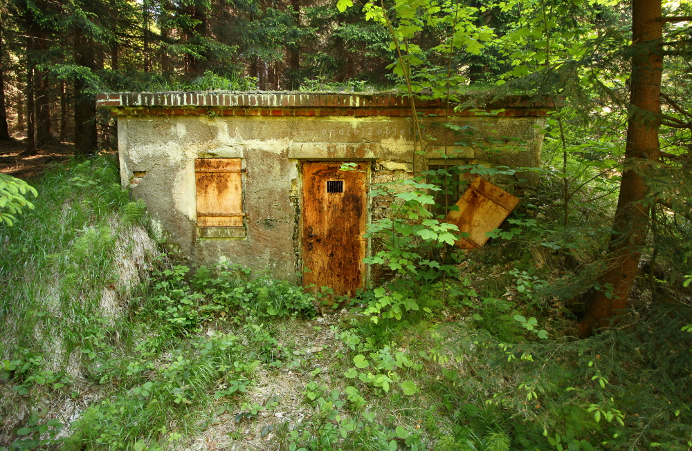 Rozpadající se dům v lese (Na fotografii:  (Fotografie opuštěných míst) urbex, stromy)