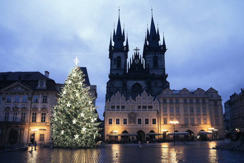 Před Vánoci na náměstí (Na fotografii:  (Fotografie města) stromy, ráno, elektřina, praha, věž)