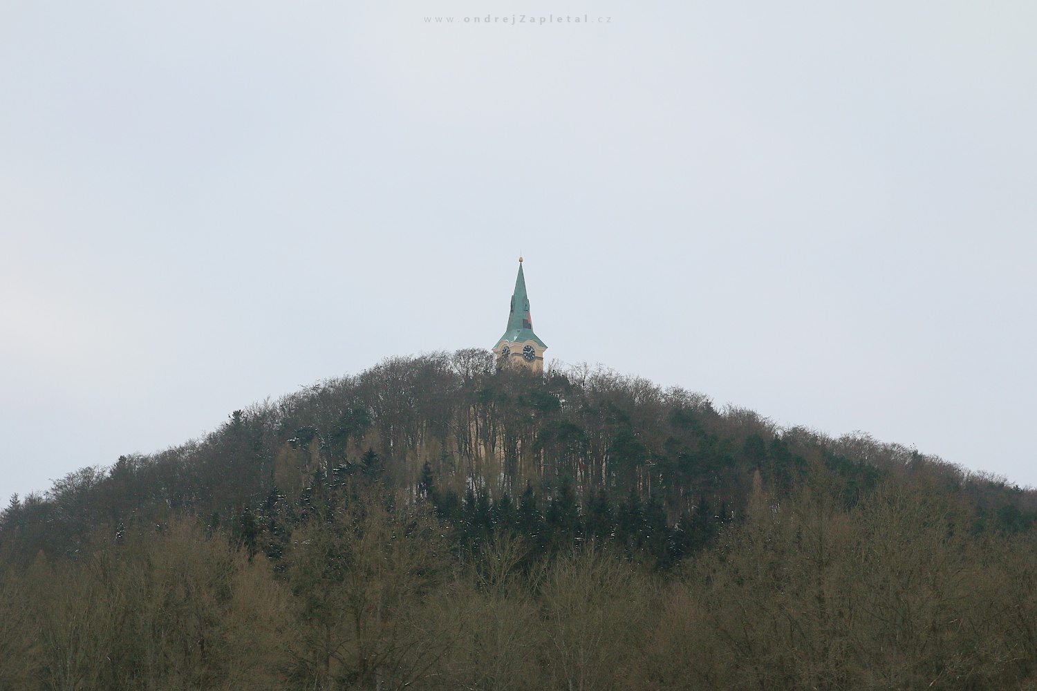 Věž na kopci (Na fotografii:  kostel, věž, venkov, zima, stromy)