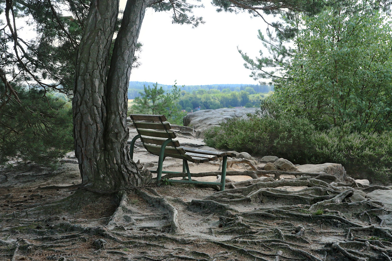  (On the photo:  (Rural photography) skála, stromy, příroda, léto)