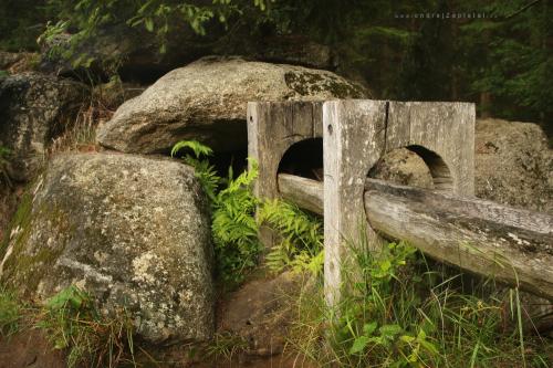 Fotka: Studánka u Hauswaldské kaple