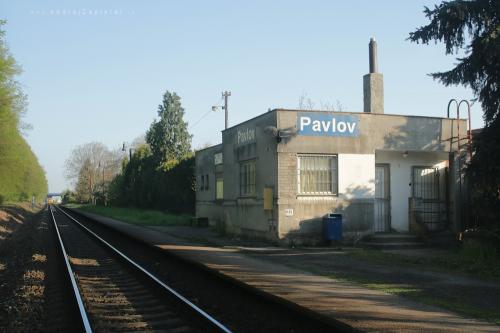 Fotka: Pavlov