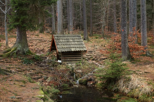 Fotka: Studánka